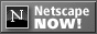 Netscape Now